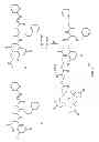 Fig. 07 - Multimeric peptidomimetic fibrosis specific dual-modality probes