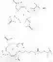 Fig. 23 - Multimeric peptidomimetic fibrosis specific dual-modality probes