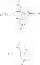 Fig. 29 - Multimeric peptidomimetic fibrosis specific dual-modality probes