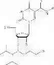 Fig. 14 - 5-position modified pyrimidines and their use