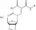 Fig. 24 - 5-position modified pyrimidines and their use