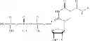 Fig. 25 - 5-position modified pyrimidines and their use