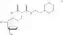 Fig. 31 - 5-position modified pyrimidines and their use