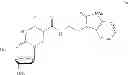 Fig. 32 - 5-position modified pyrimidines and their use