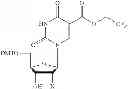 Fig. 42 - 5-position modified pyrimidines and their use
