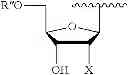 Fig. 52 - 5-position modified pyrimidines and their use
