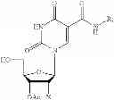 Fig. 53 - 5-position modified pyrimidines and their use