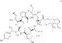 Fig. 02 - Intermediate for synthesizing caspofungin and preparation method thereof