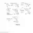 Fig. 07 - Benzoxazepin PI3K inhibitor compounds and methods of use