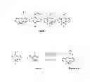 Fig. 02 - Boron dipyrromethenes with laser properties