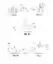 Fig. 04 - SYSTEMS AND METHODS FOR ANALYSIS AND TREATMENT OF A BODY LUMEN