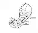 Fig. 01 - SYSTEM AND METHOD FOR GASTRO-INTESTINAL ELECTRICAL ACTIVITY