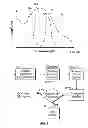 Fig. 08 - Integrated system for assessing wound exudates