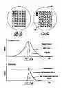 Fig. 20 - Adaptive laser system for ophthalmic surgery