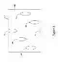 Fig. 09 - Renal nerve modulation devices with weeping RF ablation balloons