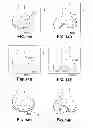 Fig. 16 - Joint arthroplasty devices and surgical tools