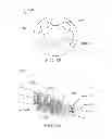 Fig. 28 - Electrical stimulation lead with junction and methods of making and using