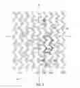 Fig. 03 - Crush recoverable polymer scaffolds