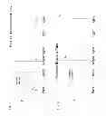 Fig. 08 - Environmental control using a chaotic function