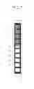 Fig. 08 - Display unit of work machine and work machine mounted with the display unit