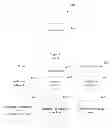 Fig. 01 - Screen reader with focus-based speech verbosity