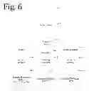 Fig. 07 - Screen reader with focus-based speech verbosity
