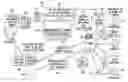 Fig. 01 - System and method for targeted advertising