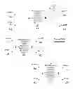 Fig. 01 - INTEGRATION OF COMMERCE NETWORKS