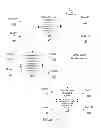 Fig. 02 - INTEGRATION OF COMMERCE NETWORKS