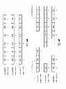 Fig. 09 - Partitioning sorted data sets