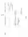 Fig. 07 - Non-disruptive software updates for servers processing network traffic