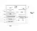 Fig. 07 - Generating a sequence of instructions on the basis of a dependency chart generated through application of at least one dependency rule