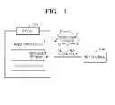 Fig. 02 - System and method for providing settlement information