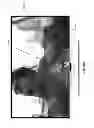 Fig. 28 - SYSTEMS AND METHODS FOR PROVIDING SOCIAL MEDIA WITH AN INTELLIGENT TELEVISION