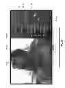 Fig. 31 - SYSTEMS AND METHODS FOR PROVIDING SOCIAL MEDIA WITH AN INTELLIGENT TELEVISION