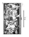 Fig. 51 - SYSTEMS AND METHODS FOR PROVIDING SOCIAL MEDIA WITH AN INTELLIGENT TELEVISION