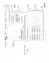 Fig. 28 - Electronic program guide and preview window