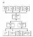 Fig. 01 - Dynamic routing of authentication requests