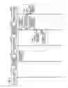 Fig. 05 - FUNCTIONAL DEVICE, ACCESS APPARATUS, ACCESS SYSTEM, AND COMMUNICATION ESTABLISHING METHOD