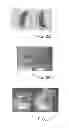 Fig. 03 - Method for raising plants and composition used therefor