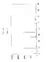 Fig. 08 - Method for producing active material for lithium secondary battery and method of using lithium secondary battery
