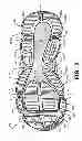Fig. 08 - Sole structures and articles of footwear having a lightweight midsole with segmented protective elements