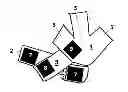 Fig. 01 - Protective shoe for birds