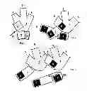 Fig. 02 - Protective shoe for birds