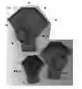 Fig. 04 - Protective shoe for birds