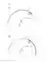Fig. 09 - Discharge pipe for snow blower