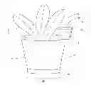 Fig. 01 - Method for determining hydration requirements of succulent plants