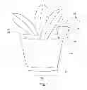 Fig. 02 - Method for determining hydration requirements of succulent plants