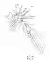 Fig. 02 - Wildlife barrier apparatus and system