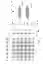 Fig. 03 - Light-conducting component for constructions and buildings and also production process therefor